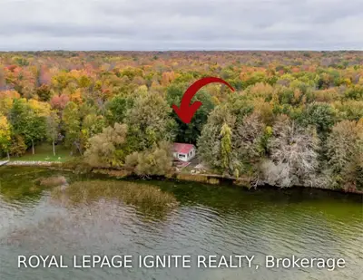 354 Bear Road, Georgina Islands, On L0e 1n0