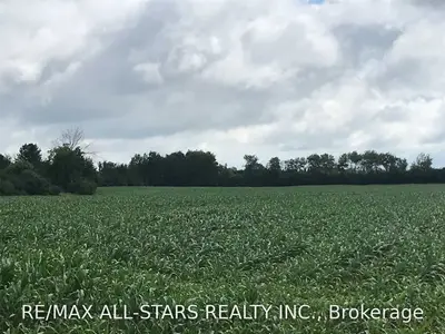 Lot 5 Concession 1 Thorah Road, Brock, ON L0K 1A0