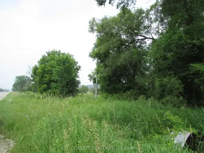 19633 Highway 48 Acres, East Gwillimbury, On L0g 1m0