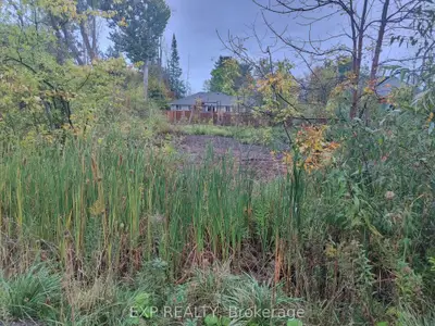 2735 Ireton Street, Innisfil, On L9s 2j2