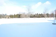 25570 Weir's Side Road, Georgina, ON L0E 1N0