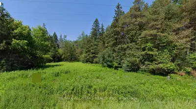 17858 Mccowan Road Part 1, East Gwillimbury, On L0g 1e0