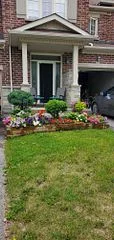 438 William Dunn Crescent, Newmarket, On L3x 3l2
