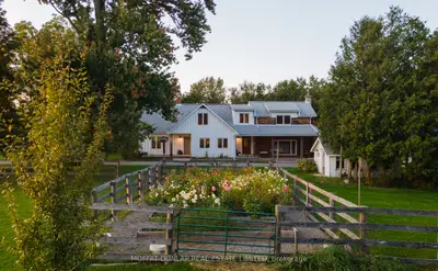 Detached in King