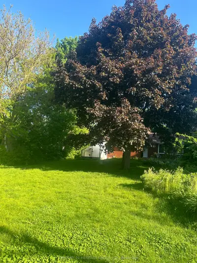 997 Srigley Street Bsmnt, Newmarket, On L3y 1y4