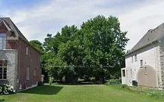 14 Petrolia Court N, Richmond Hill, ON L4C 6E5