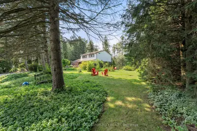 Detached in Aurora