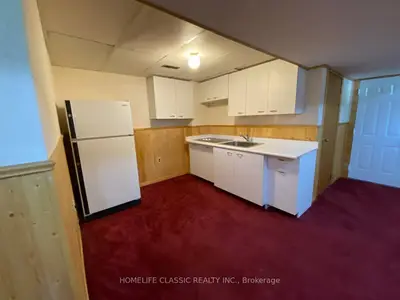 Lower Level in Georgina