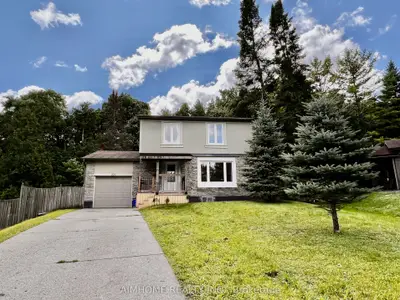 224 Hibiscus Court, Newmarket, On L3y 5k9