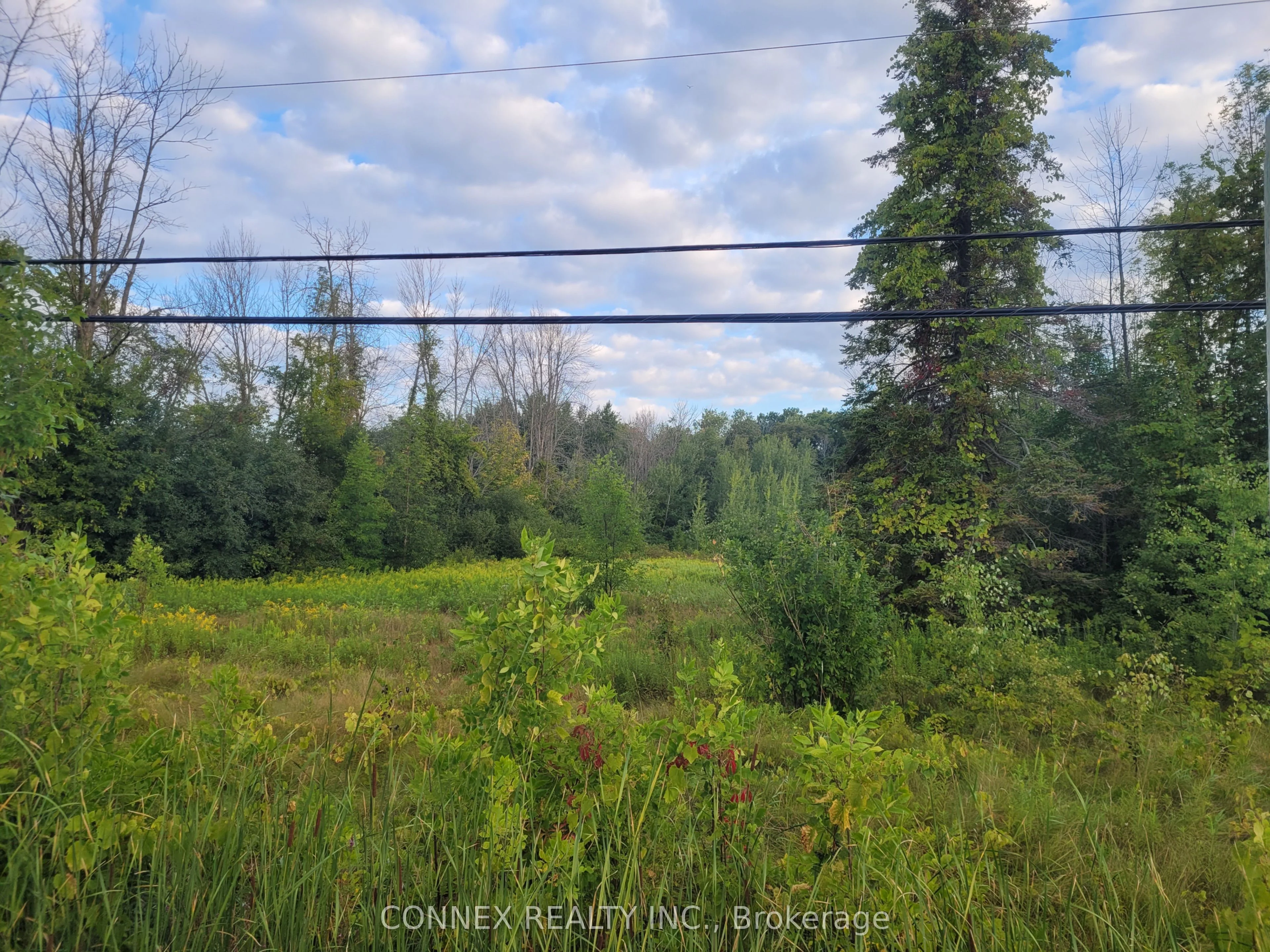 30360 Highway 48, Georgina, On, L0e 1n0