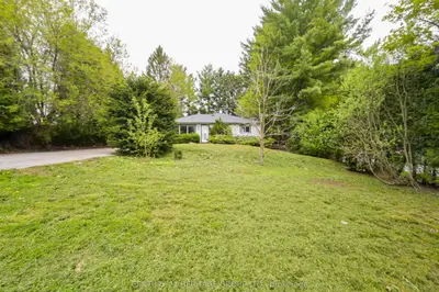 Detached in King