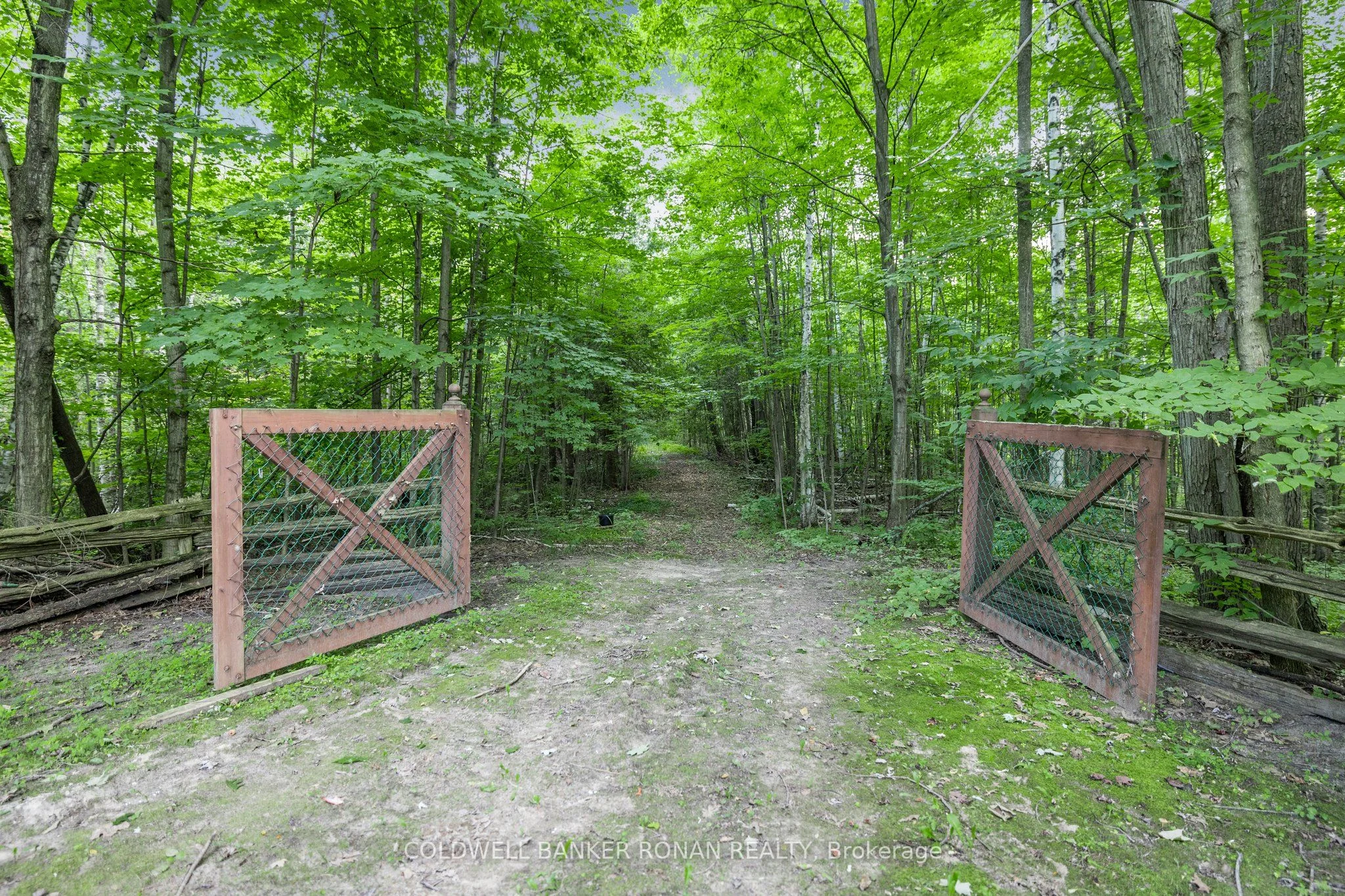 3046 Concession Rd 5 , Adjala-Tosorontio, ON L0G 1L0