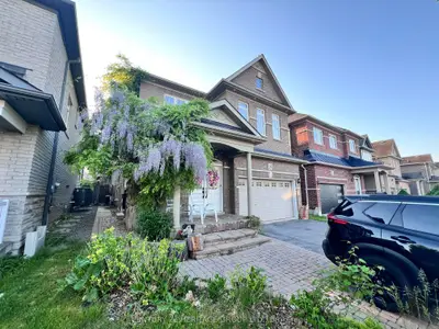 388 Kwapis Boulevard Main Fl, Newmarket, On L3x 3h1