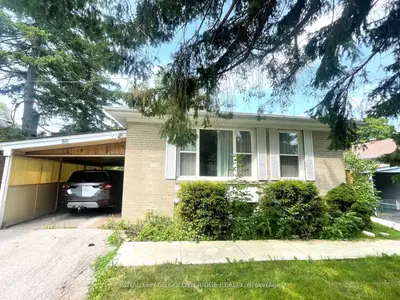 Lower Level in Newmarket