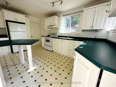 124 Longford Drive Upper, Newmarket, On L3y 2y5