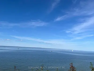 Other in Georgina