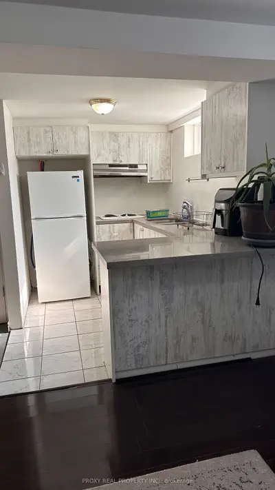 345 Taylor Mills Drive N Lower, Richmond Hill, On L4c 2t8
