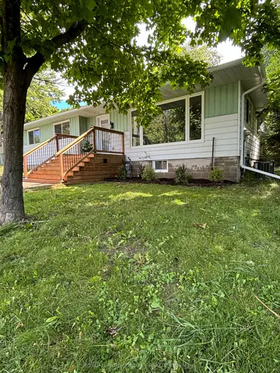 206 Laidlaw Street S, Brock, On L0e 1e0