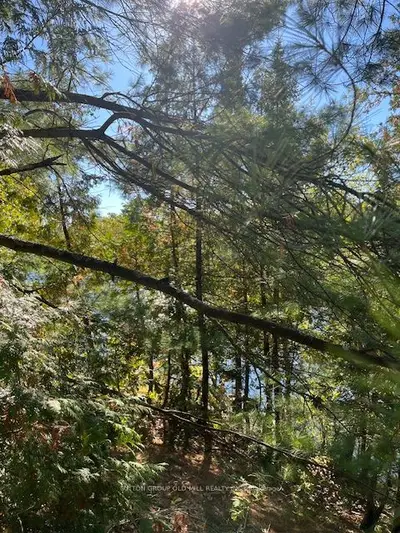 Vacant Land in Ramara