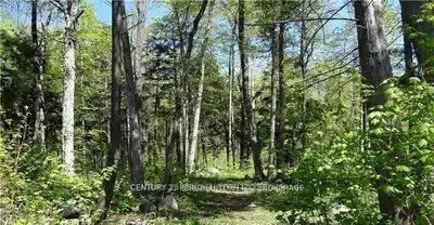 95 Nippissing Ridge Road, Tiny, On L9m 0h6