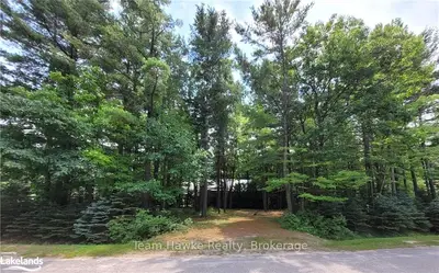 Vacant Land in Tiny