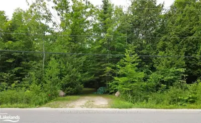 Vacant Land in Tiny