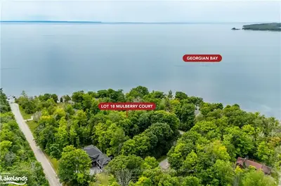 Vacant Land in Tiny