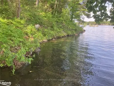 Part Lots H & I Severn River, Severn, On, P0e 1g0