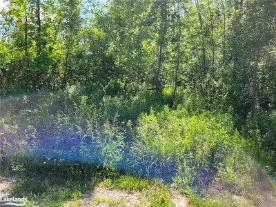 Vacant Land in Collingwood