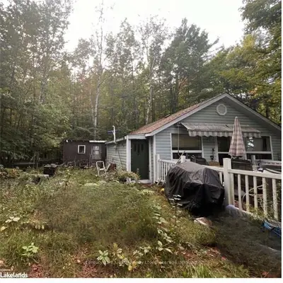 Detached in Tiny