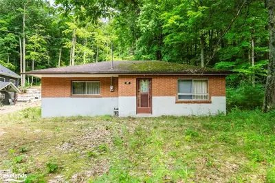 Detached in Tiny