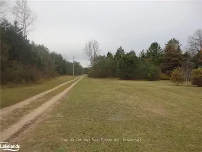 Vacant Land in Springwater