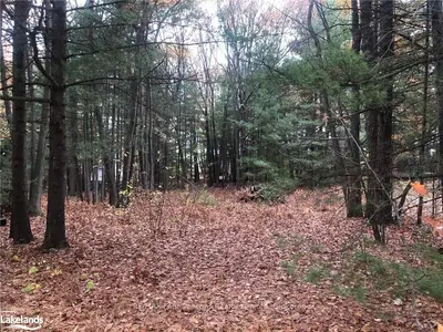Vacant Land in Wasaga Beach