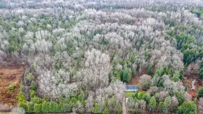 Vacant Land in Tay