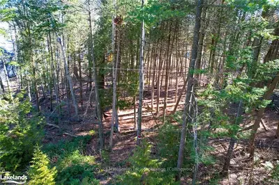 Lot 105 49th Street S, Wasaga Beach, ON L9Z 1Y2