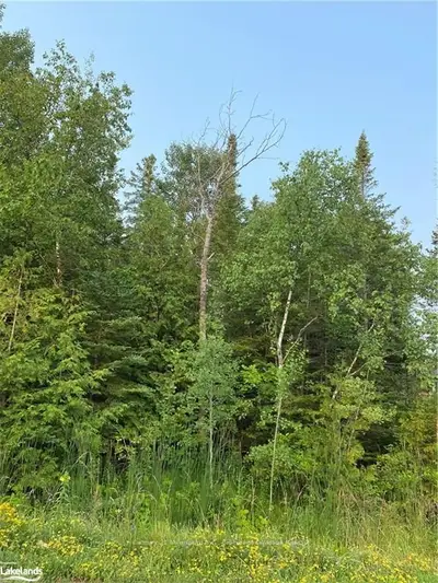 37 BETTY Boulevard, Wasaga Beach, ON L9Z 2Y4