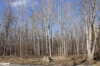 171 PARADISE Avenue, Tay, ON L0K 1R0