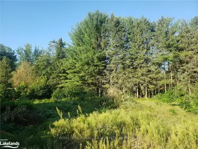 0 BERKELY Street, Wasaga Beach, ON L9Z 2N6