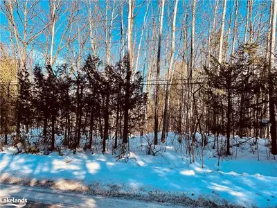 LT 9 49TH Street S, Wasaga Beach, ON L9Z 1Y2