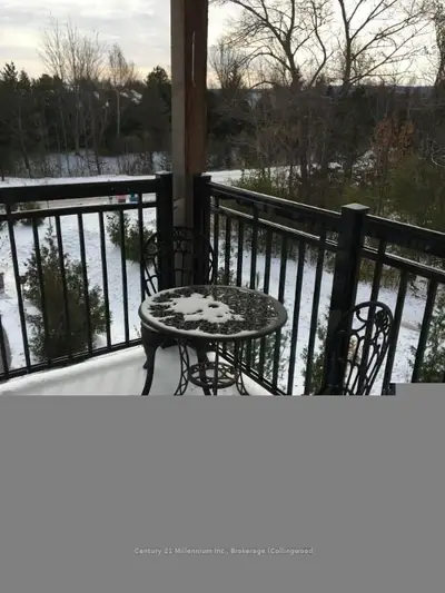 2 Brandy Lane Drive 301, Collingwood, On L9y 0x4