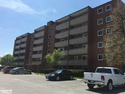 460 Ontario Street 205, Collingwood, On L9y 4e5