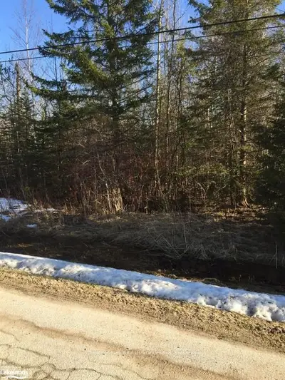 58 Broadview Street, Collingwood, On L9y 3z1