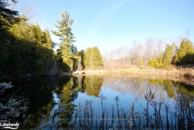 1246 Horseshoe Valley Road E, Oro-medonte, On L0k 1e0