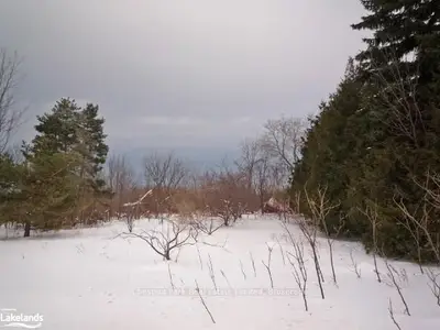 795801 19 Grey Road, Collingwood, On L9y 3y9