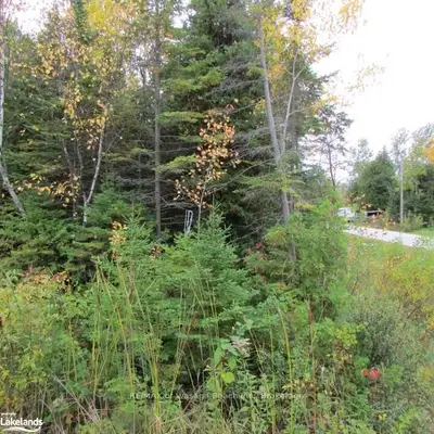 37 Betty Boulevard, Wasaga Beach, On L9z 2y4