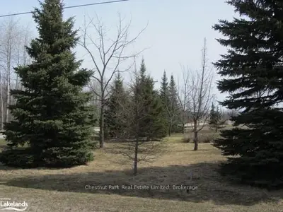 15 Saunders Street, Collingwood, On L9y 0g2