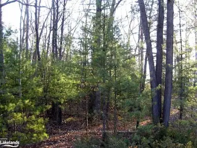 223 Sunnidale Road, Wasaga Beach, On L9z 2t4