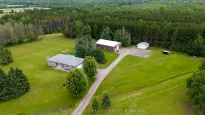 Detached in Springwater