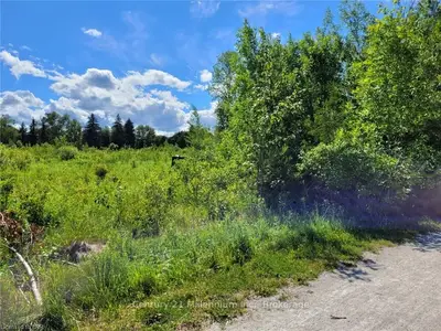 Vacant Land in Collingwood