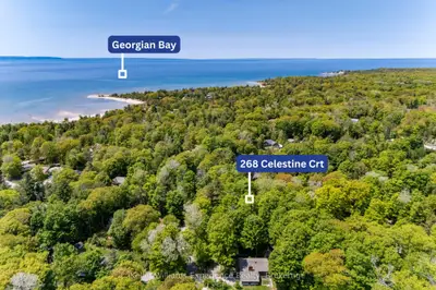 Vacant Land in Tiny